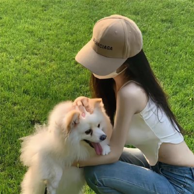 犬之力